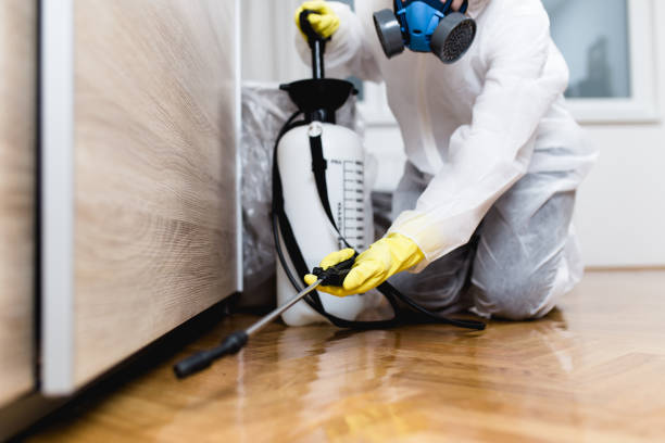  Adamsville, TN Pest Control Pros