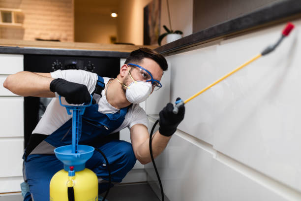 Best Cockroach Control Services  in Adamsville, TN