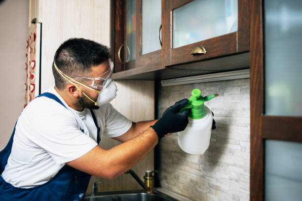 Best Pest Control Treatment  in Adamsville, TN