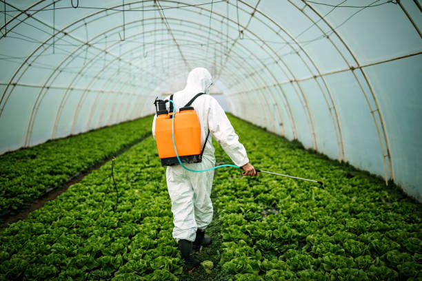 Best Pest Control Cost  in Adamsville, TN