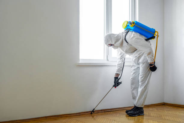 Best Wildlife Control Services  in Adamsville, TN