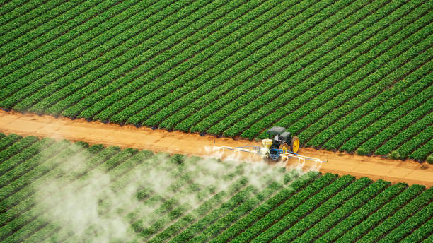 Best Mosquito Control Services  in Adamsville, TN