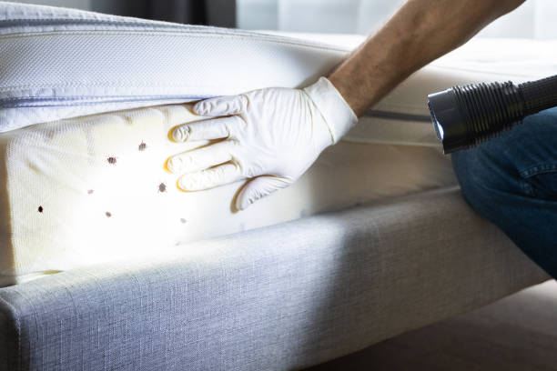 Best Pest Control for Businesses  in Adamsville, TN